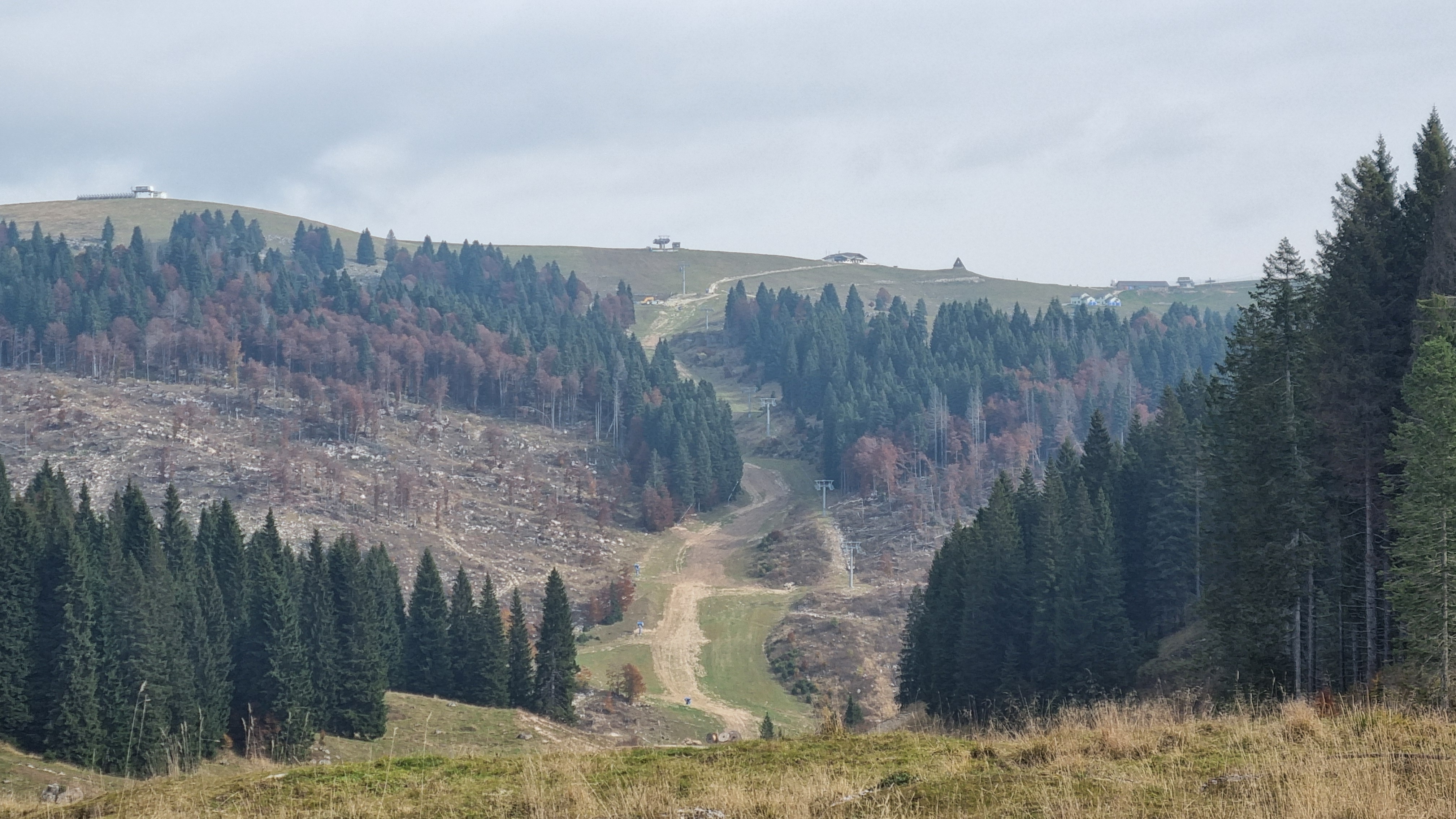 Montagna/Il rosso acceso del foliage e quello del bostrico che uccide gli abeti. Vita e morte del verde sulle falde dell’Ongara